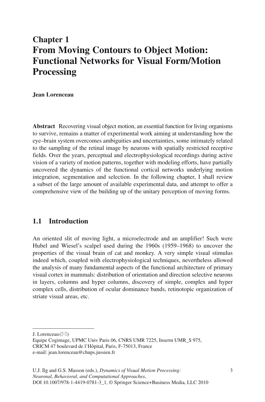 From Moving Contours to Object Motion: Functional Networks for Visual Form/Motion Processing