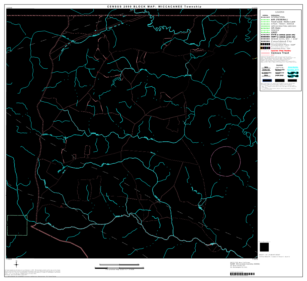 9801 CENSUS 2000 BLOCK MAP: WICCACANEE Township