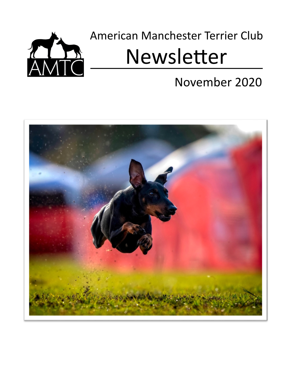 Newsletter November 2020