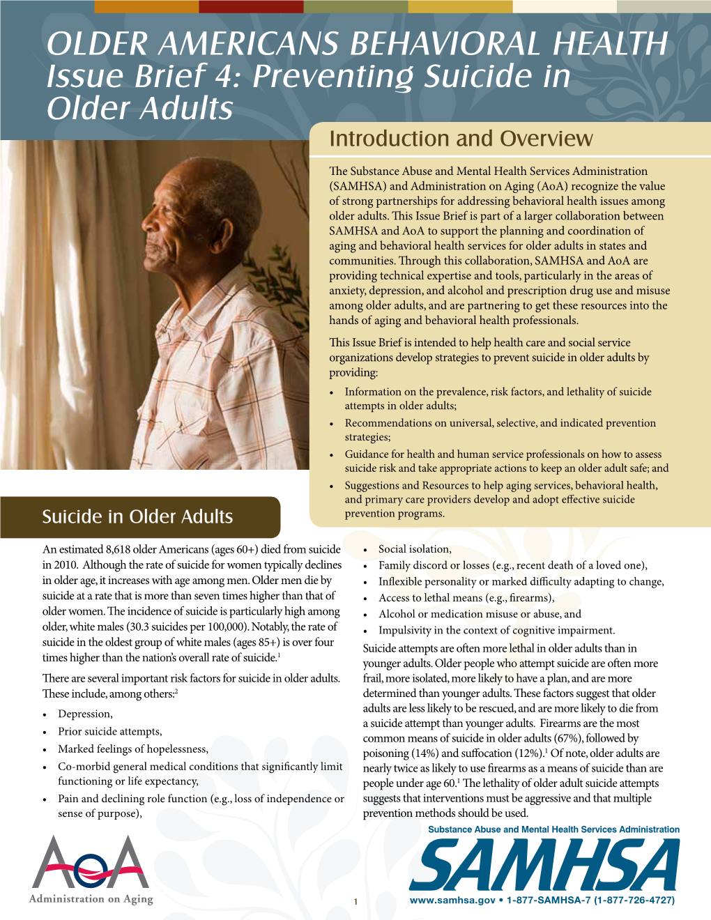 Issue Brief 4: Preventing Suicide in Older Adults Introduction and Overview