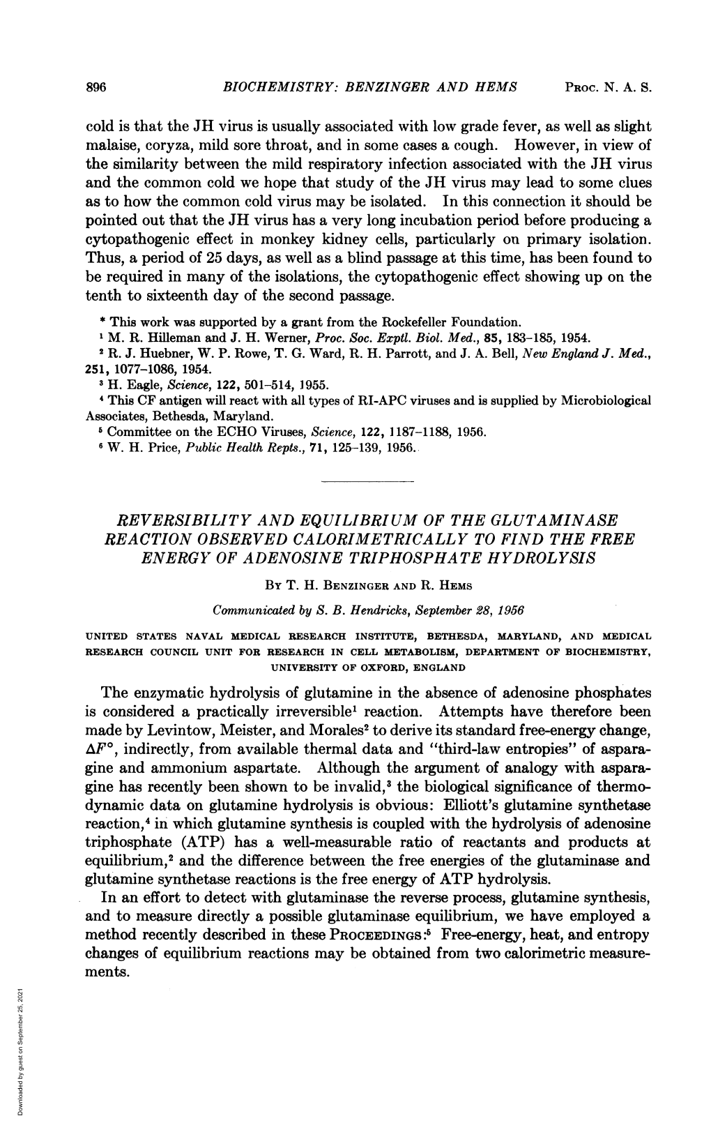 Reversibility and Equilibrium Ofthe Glutaminase Reaction