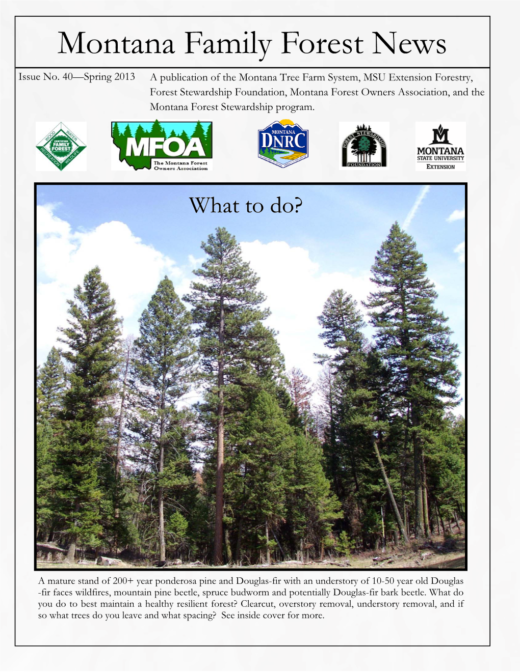 Spring 2013 Newsleter