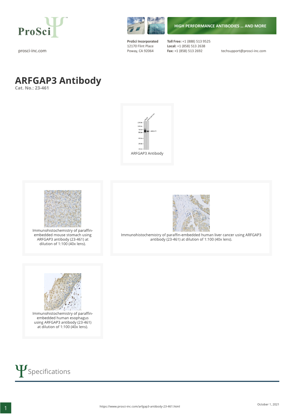 ARFGAP3 Antibody Cat
