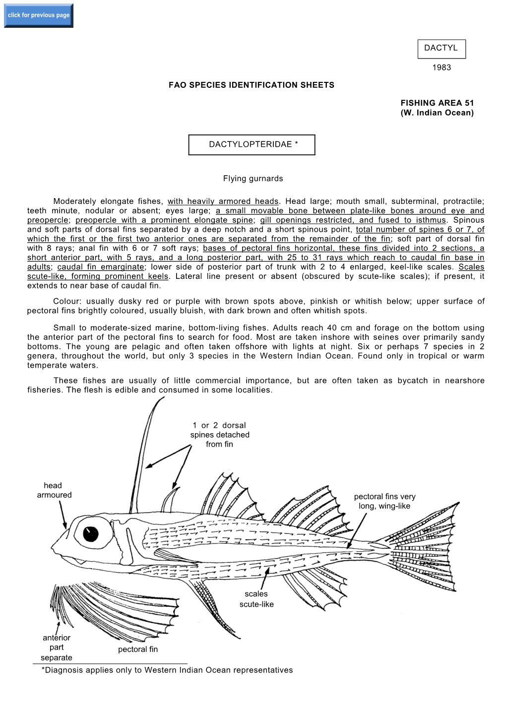 DACTYL 1983 FAO SPECIES IDENTIFICATION SHEETS FISHING AREA 51 (W. Indian Ocean) DACTYLOPTERIDAE * Flying Gurnards Moderately