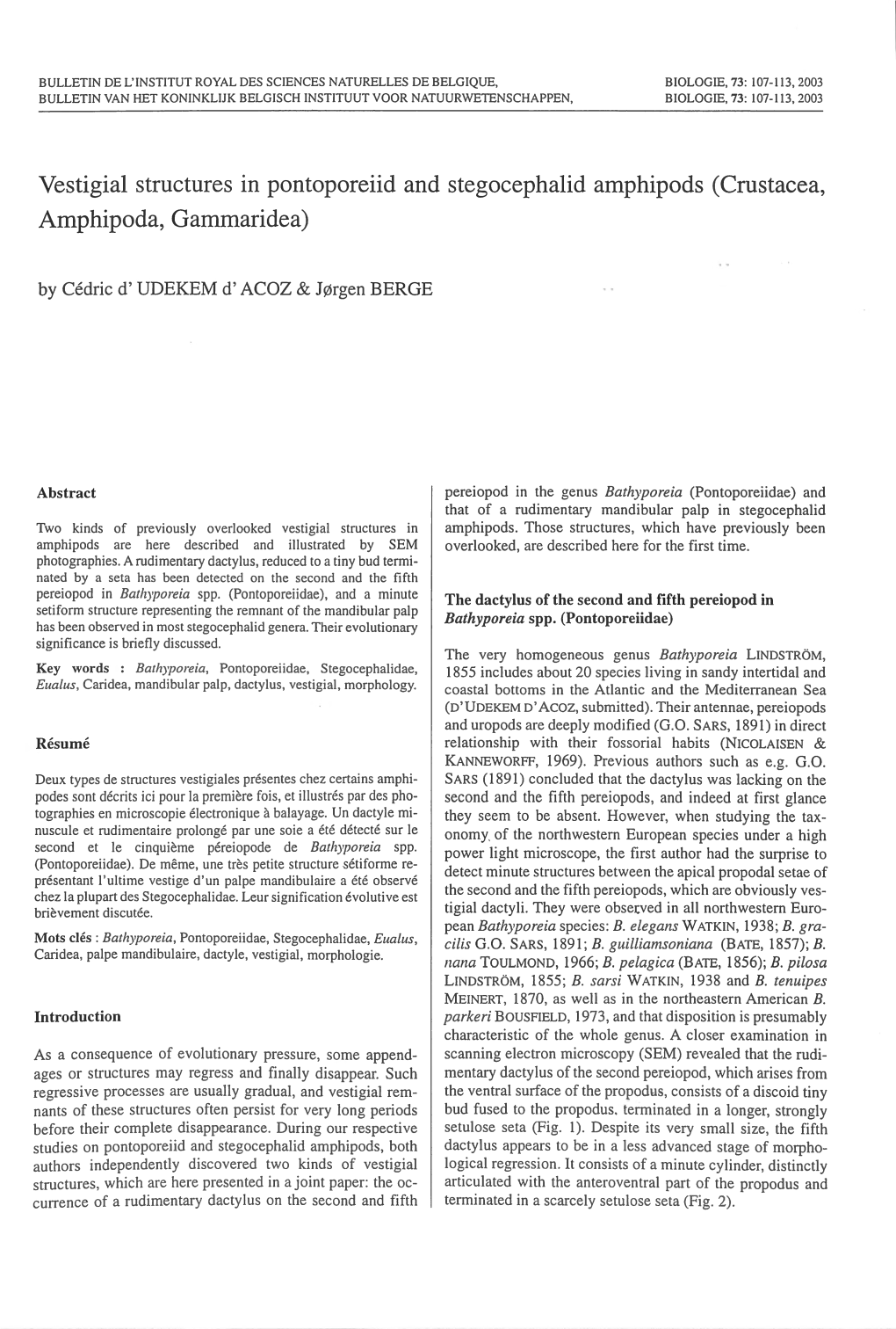 Vestigial Structures in Pontoporeiid and Stegocephalid Amphipods (Crustacea, Amphipoda, Gammaridea) by Cedric D' UDEKEM D' ACOZ & J0rgen BERGE