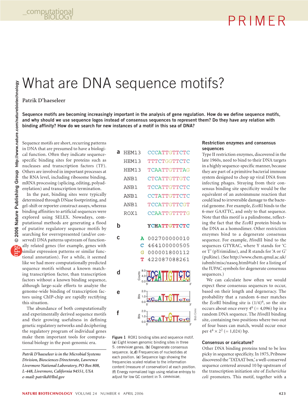 What Are DNA Sequence Motifs?