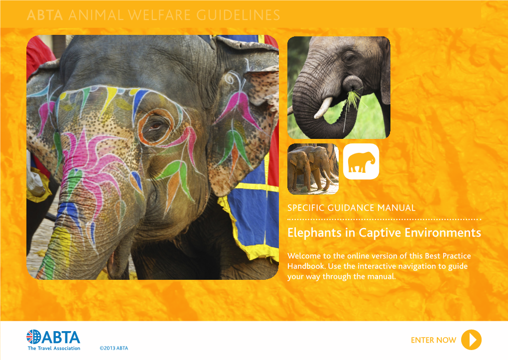 Elephants in Captive Environments