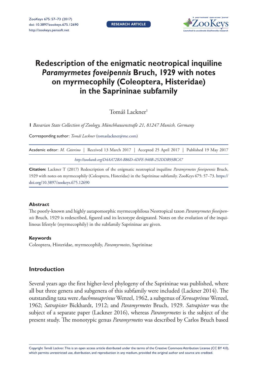 Redescription of the Enigmatic Neotropical Inquiline