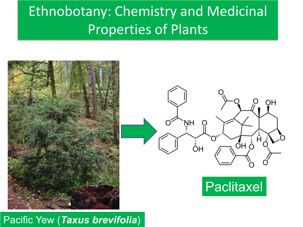 Ethnobotany: Chemistry and Medicinal Properties of Plants