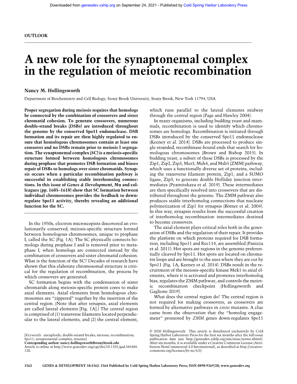 A New Role for the Synaptonemal Complex in the Regulation of Meiotic Recombination