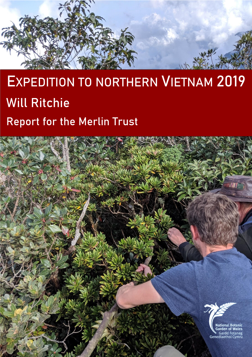 Will Ritchie Report for the Merlin Trust