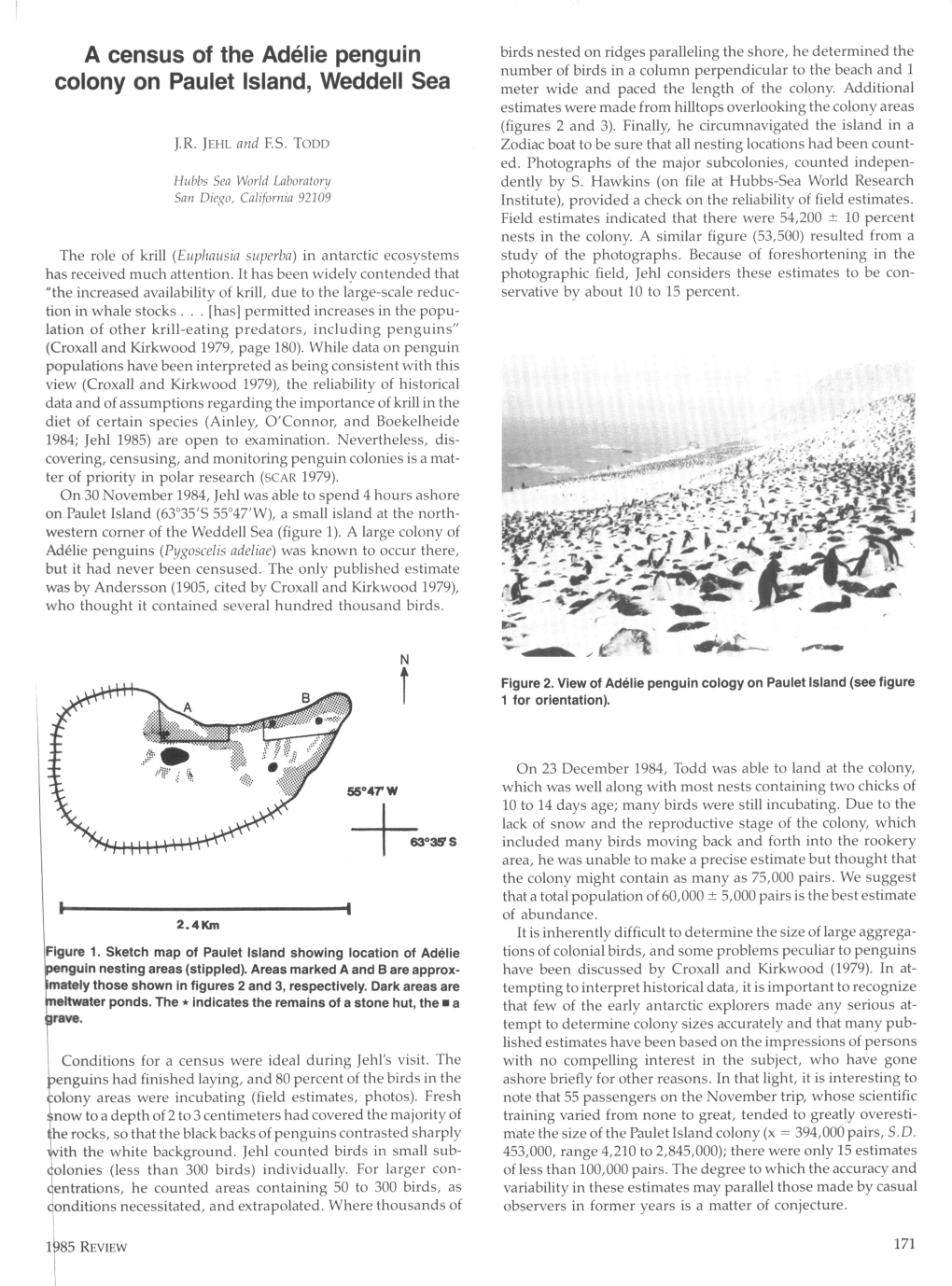 A Census of the Adélie Penguin Colony on Paulet Island, Weddell