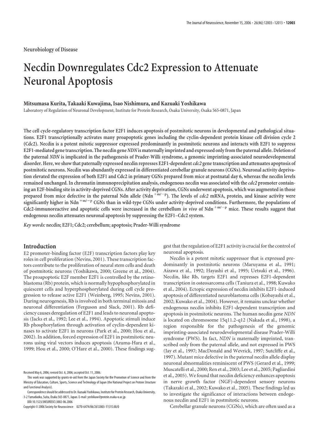 Necdin Downregulates Cdc2 Expression to Attenuate Neuronal Apoptosis