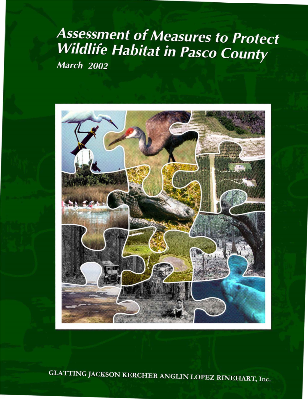 The Assessments of Measures to Protect Wildlife Habitat in Pasco County Report