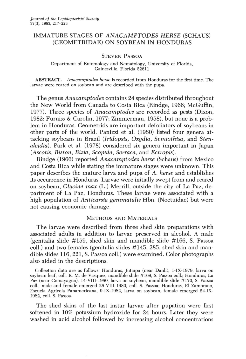 Immature Stages of Anacamptodes Herse (Schaus) (Geometridae) on Soybean in Honduras