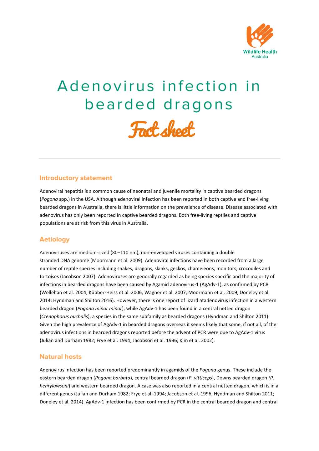 Adenovirus Infection in Bearde