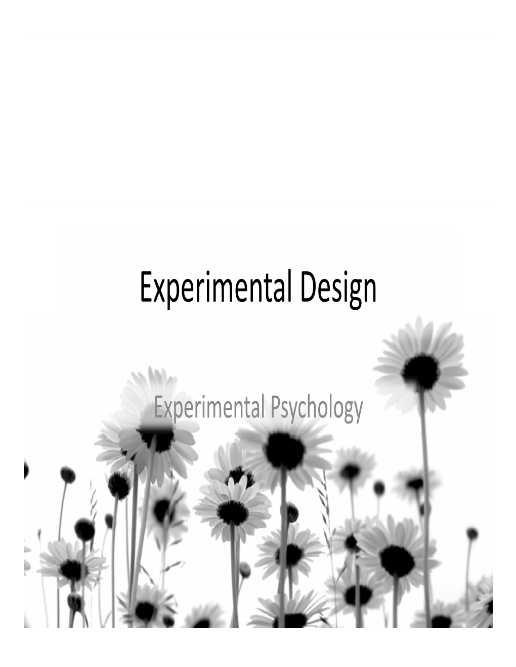 Experimental Design