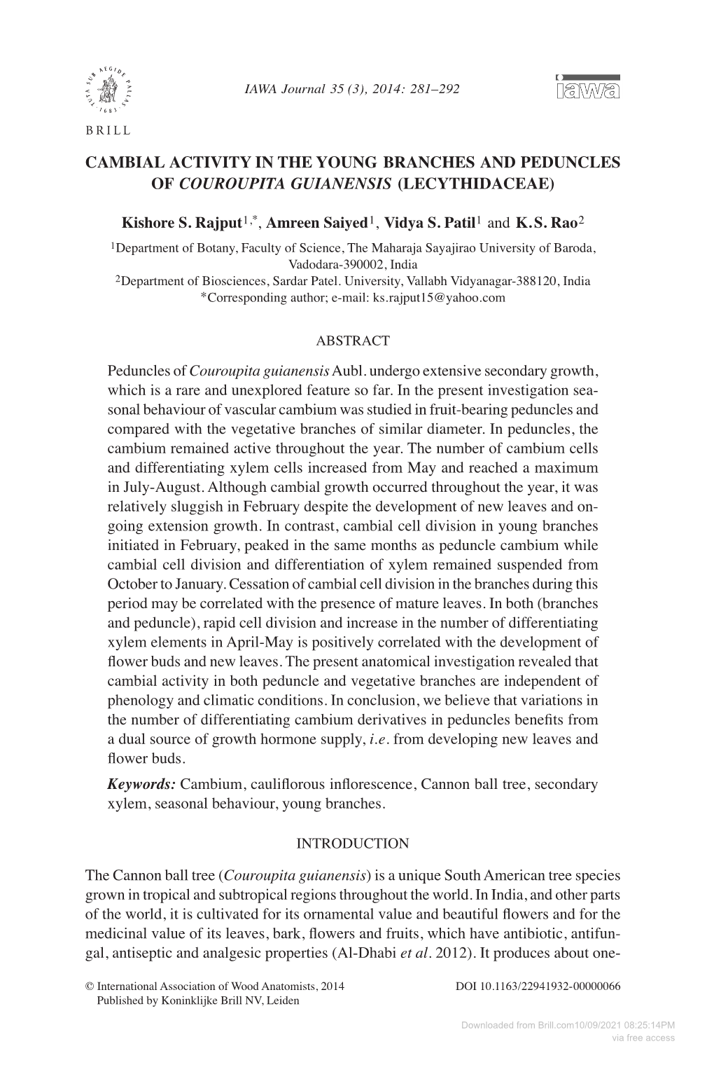 Cambial Activity in the Young Branches and Peduncles of Couroupita Guianensis (Lecythidaceae)