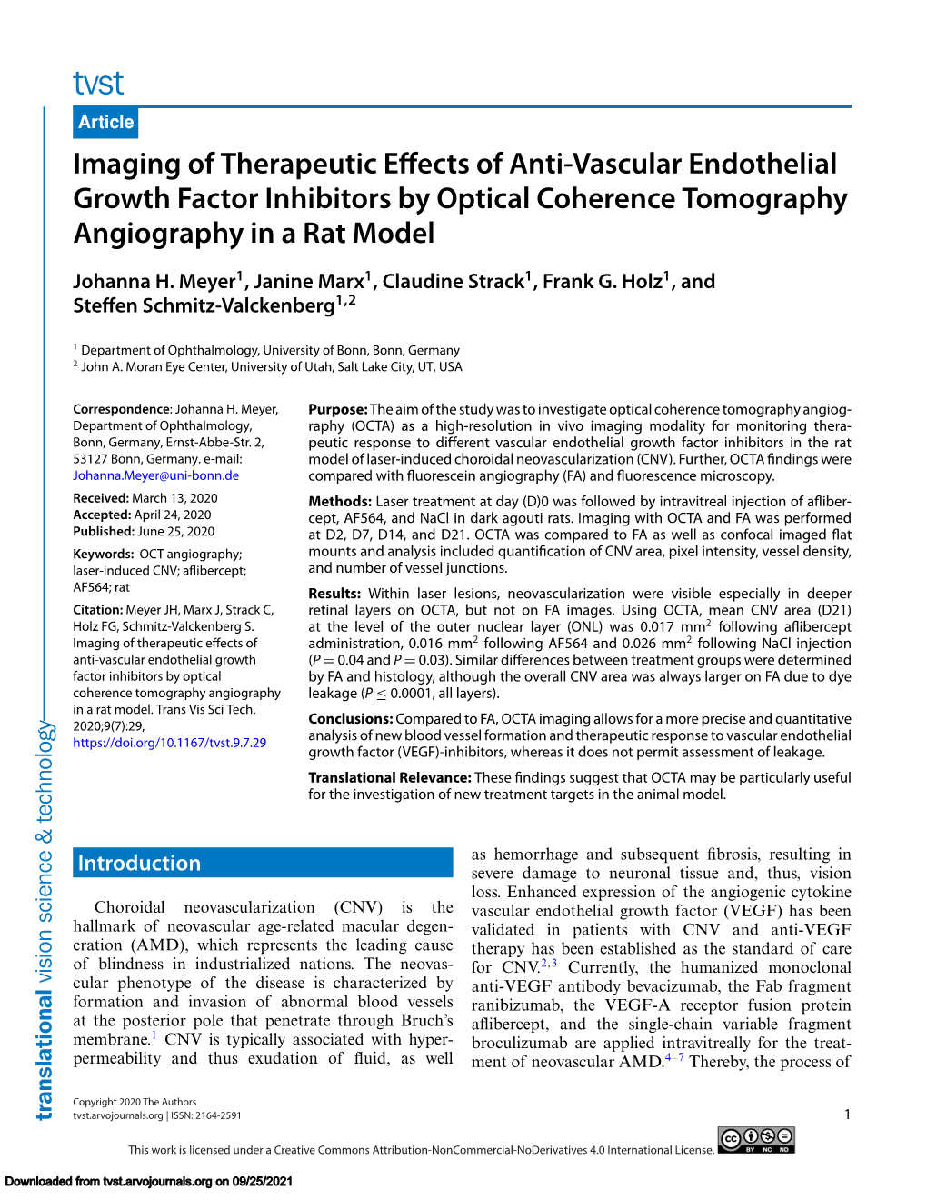 Imaging of Therapeutic Effects of Anti-Vascular Endothelial Growth Factor Inhibitors by Optical Coherence Tomography Angiography in a Rat Model