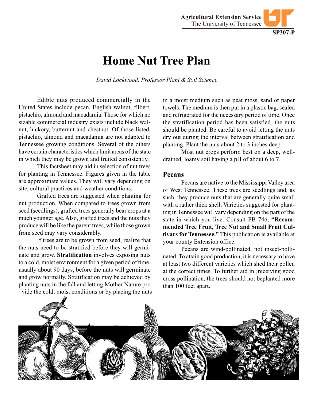 Home Nut Tree Plan