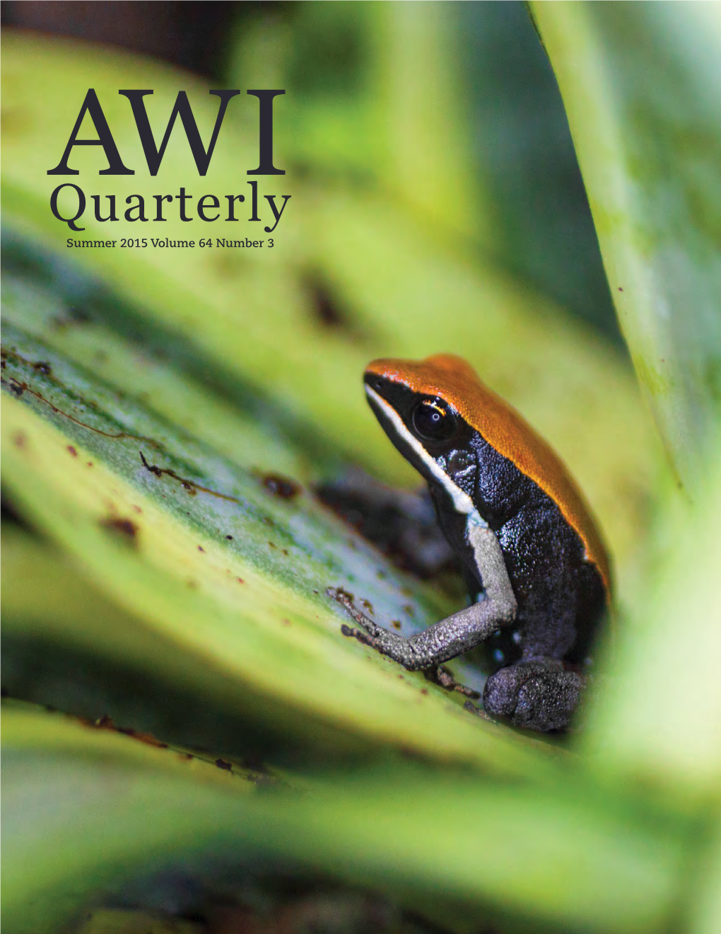 Quarterlyaw I Summer 2015 Volume 64 Number 3 AW I Quarterly ABOUT the COVER a Frog of the Genus Mantella (Mantella Ebenaui Or M