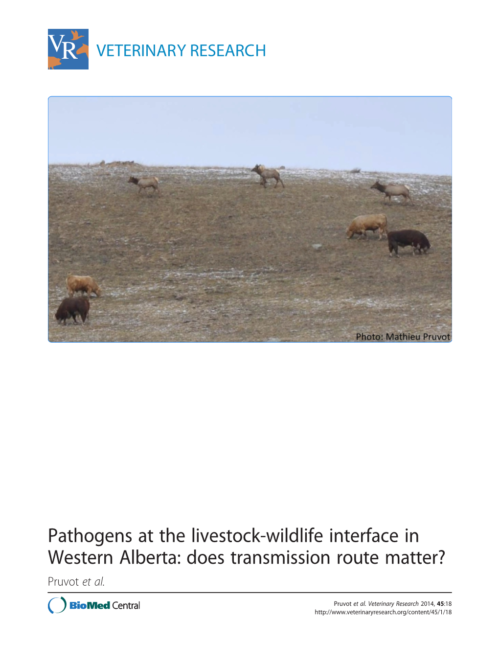 Pathogens at the Livestock-Wildlife Interface in Western Alberta: Does Transmission Route Matter? Pruvot Et Al