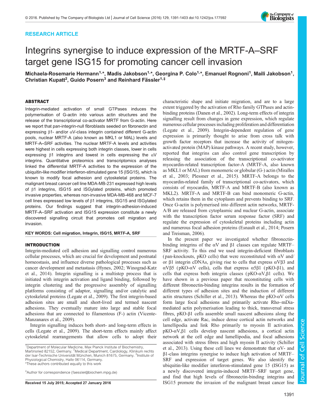 Integrins Synergise to Induce Expression of the MRTF-A–SRF Target