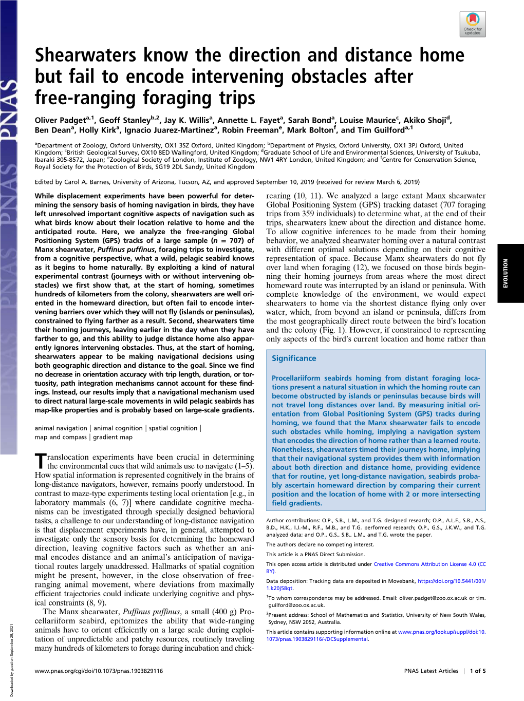 Shearwaters Know the Direction and Distance Home but Fail to Encode Intervening Obstacles After Free-Ranging Foraging Trips