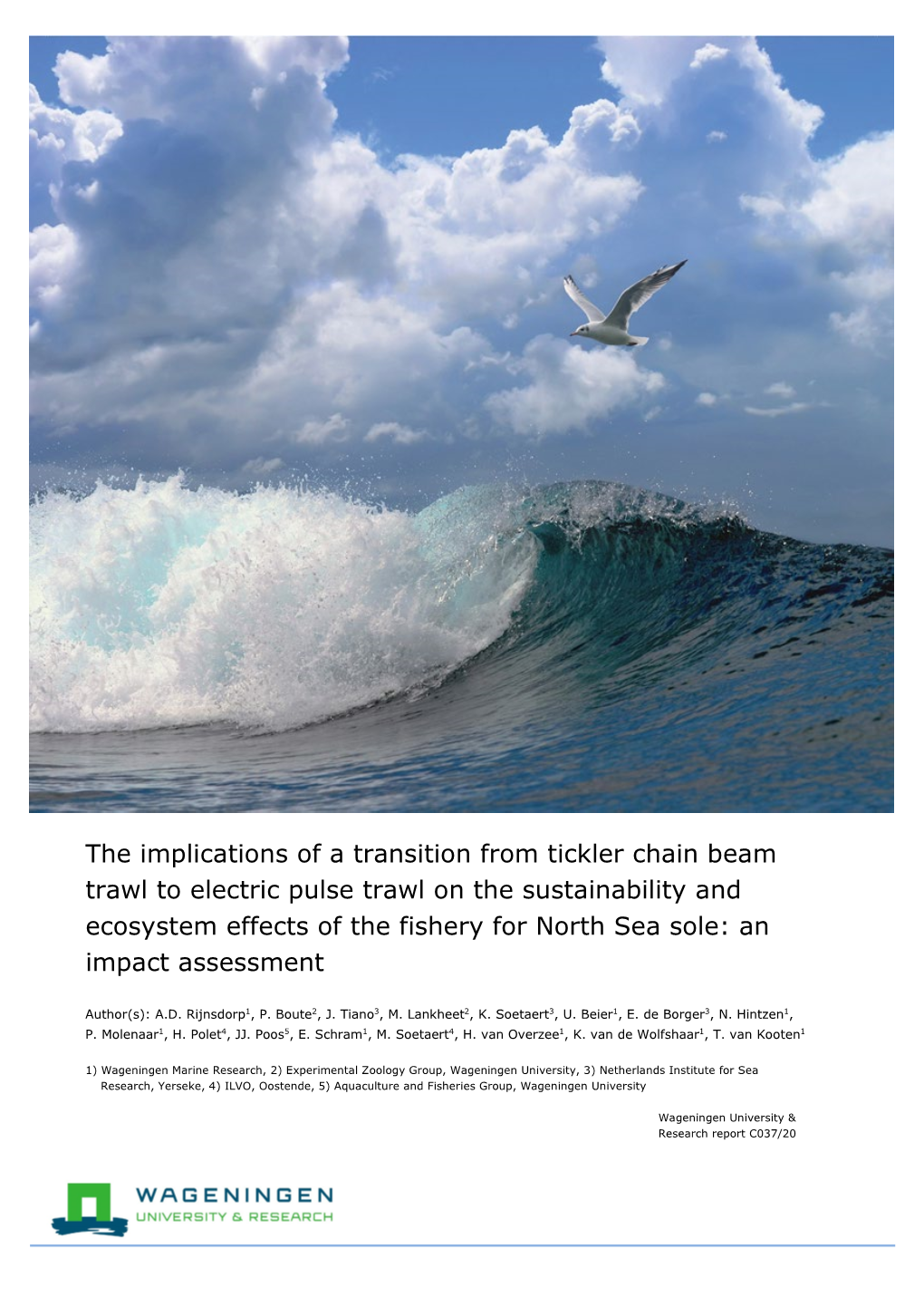 The Implications of a Transition from Tickler Chain Beam Trawl to Electric