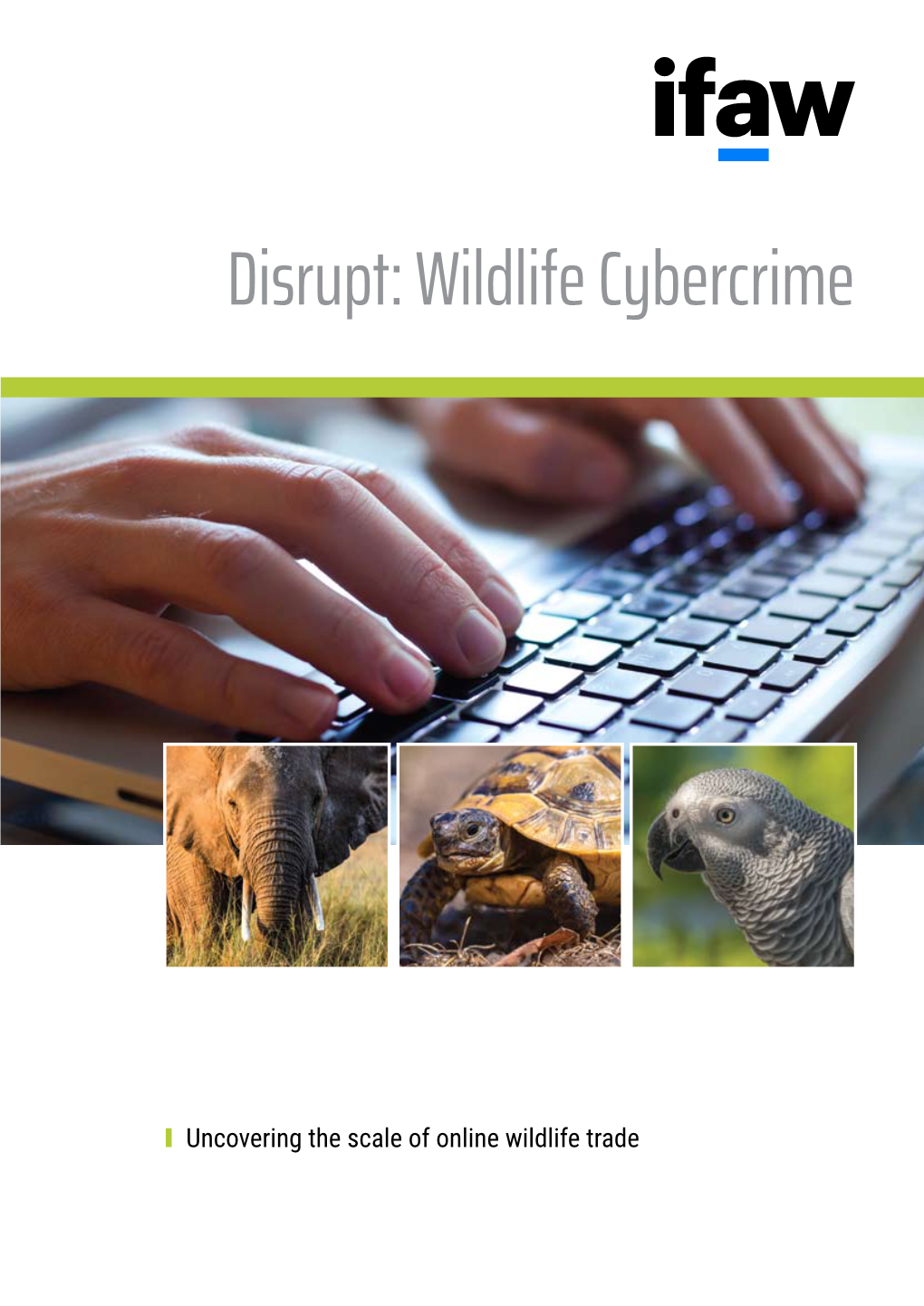 Wildlife Cybercrime