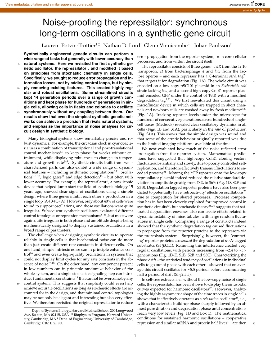 Synchronous Long-Term Oscillations in a Synthetic Gene Circuit