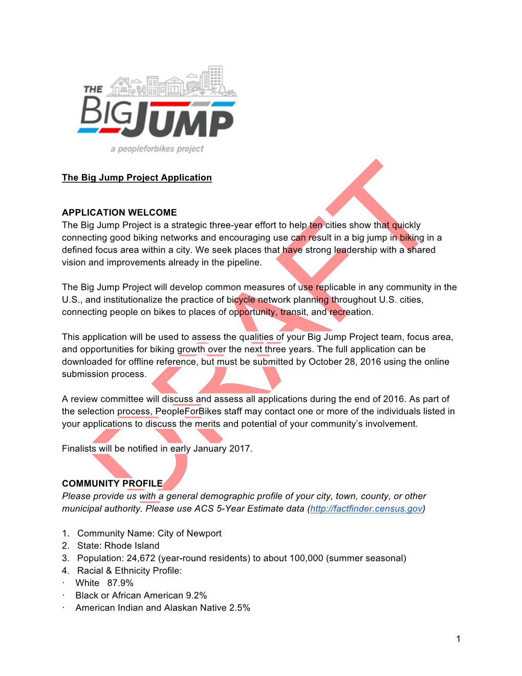 1 the Big Jump Project Application