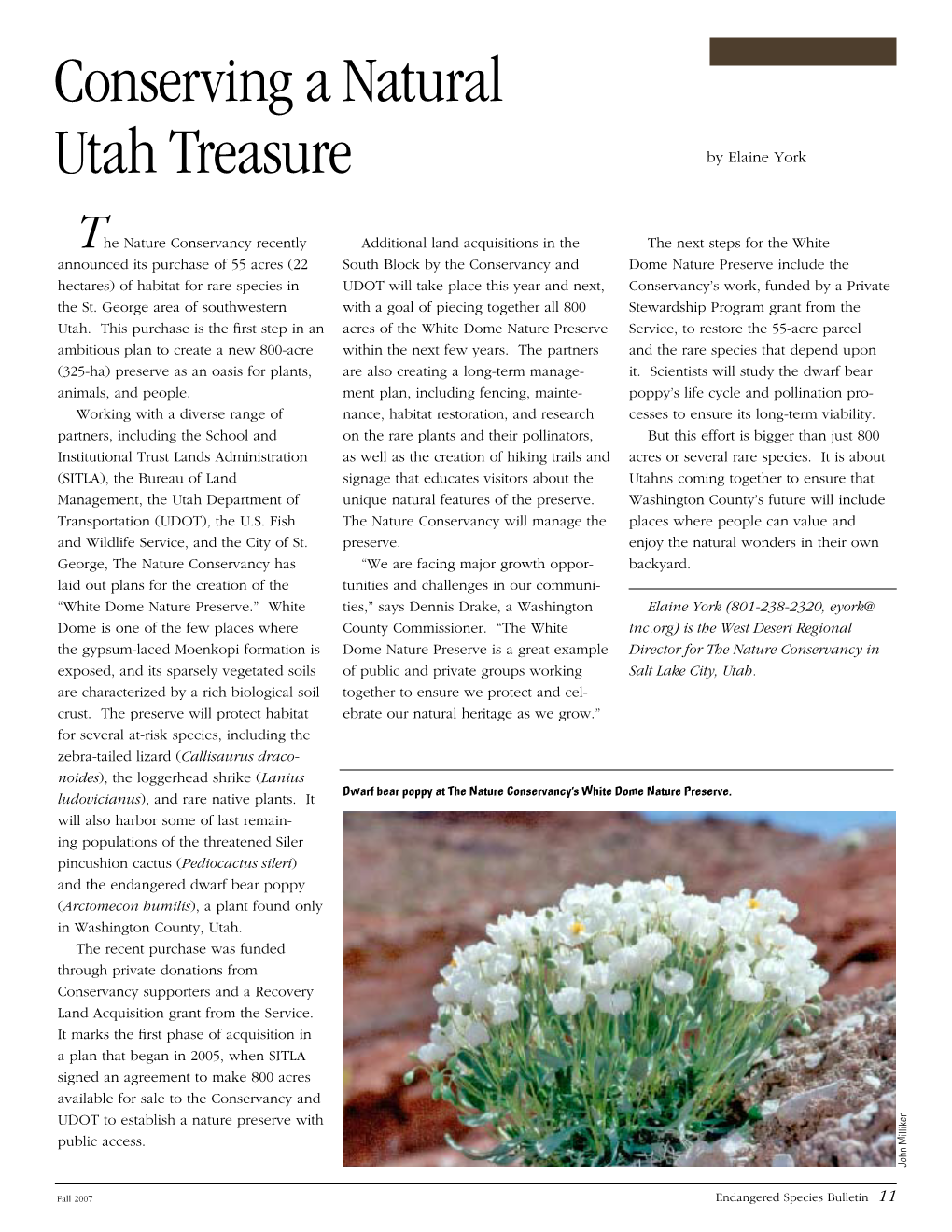 Conserving a Natural Utah Treasure by Elaine York