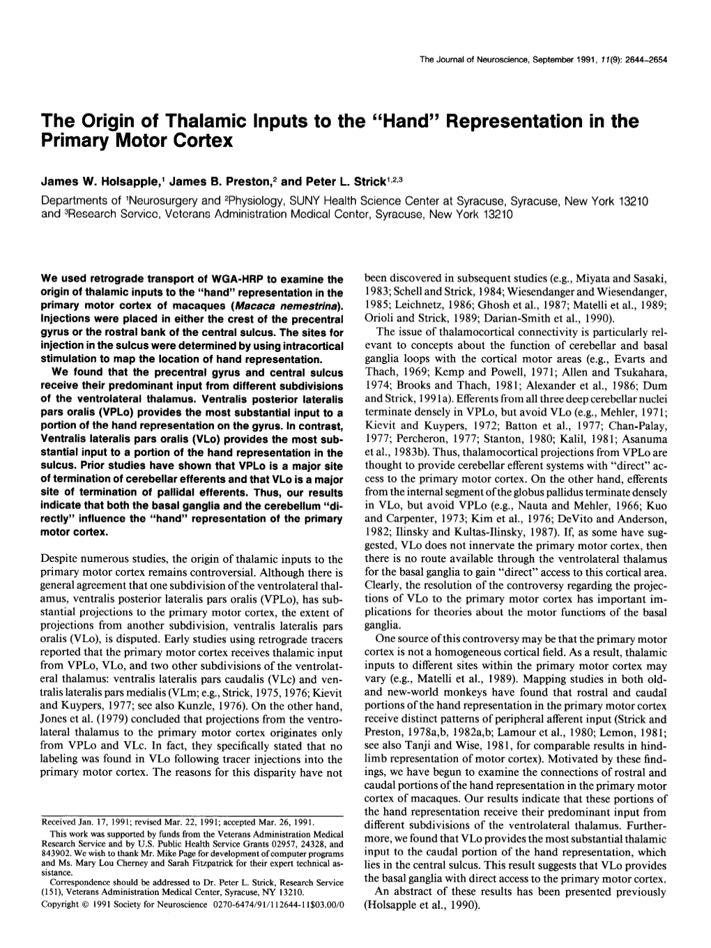 “Hand” Representation in the Primary Motor Cortex