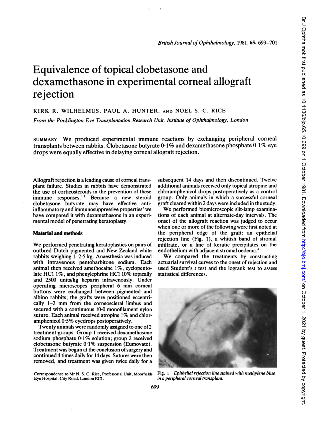 Equivalence of Topical Clobetasone and Dexamethasone in Experimental Corneal Allograft Rejection