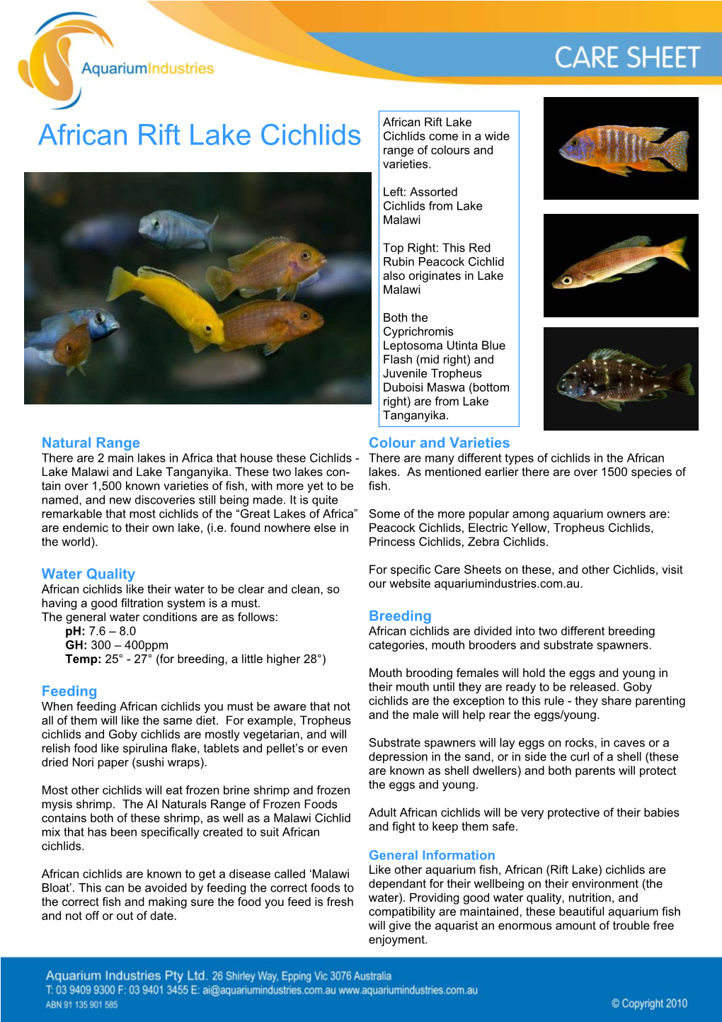 African Cichlids.Pub