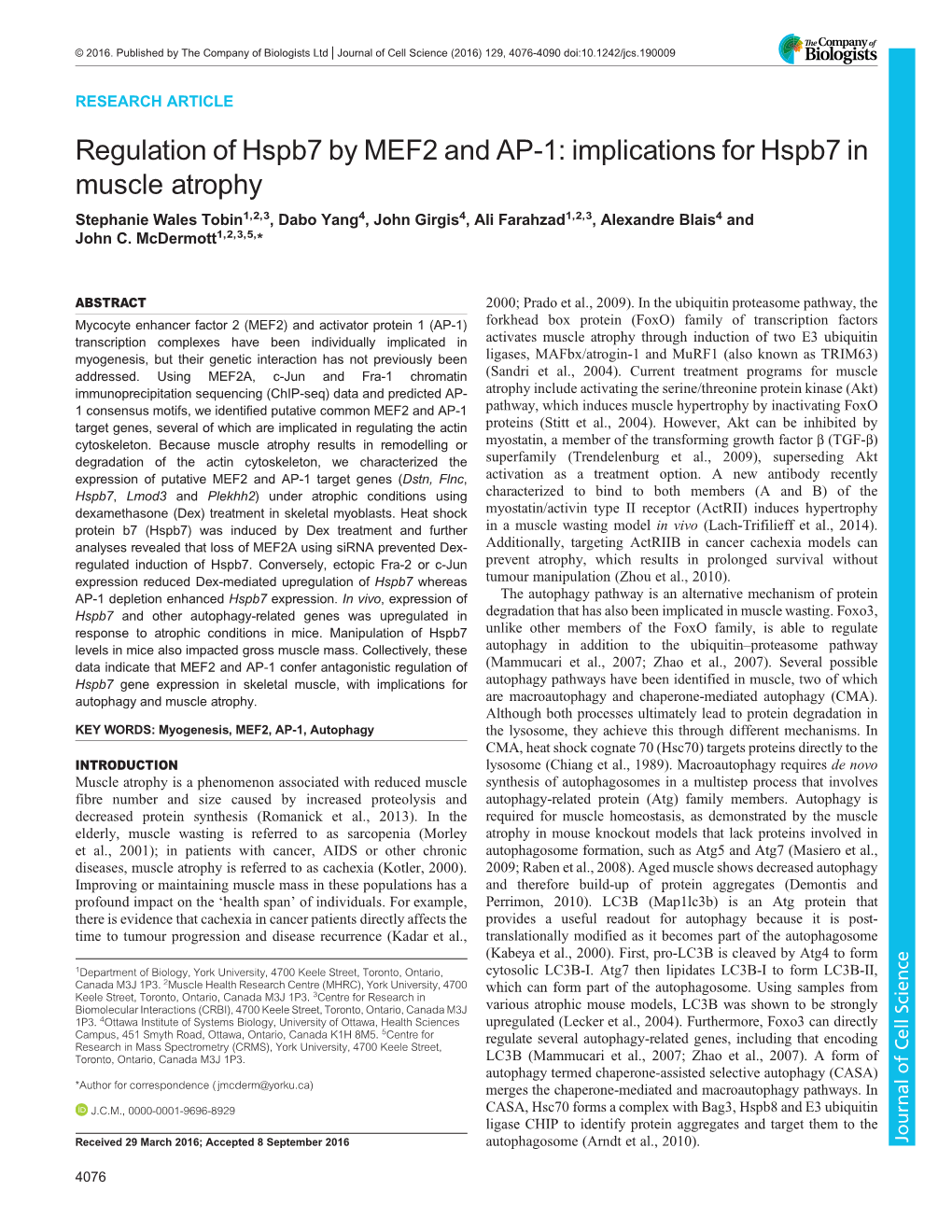 Implications for Hspb7 in Muscle Atrophy Stephanie Wales Tobin1,2,3, Dabo Yang4, John Girgis4, Ali Farahzad1,2,3, Alexandre Blais4 and John C