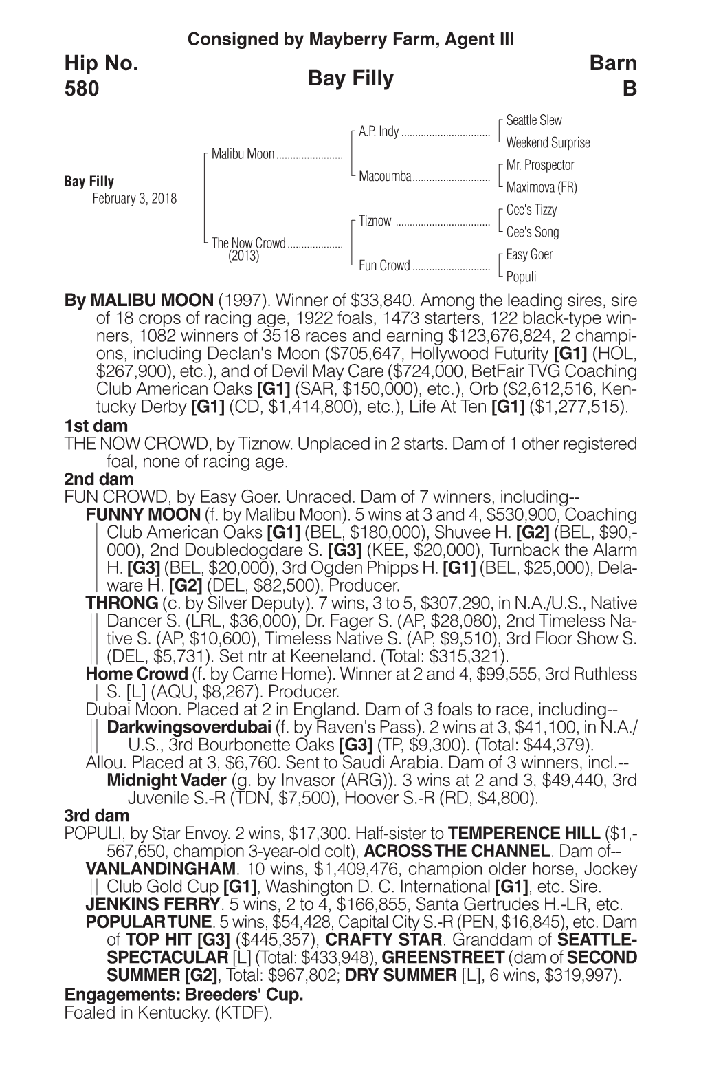 Bay Filly Barn B Hip No