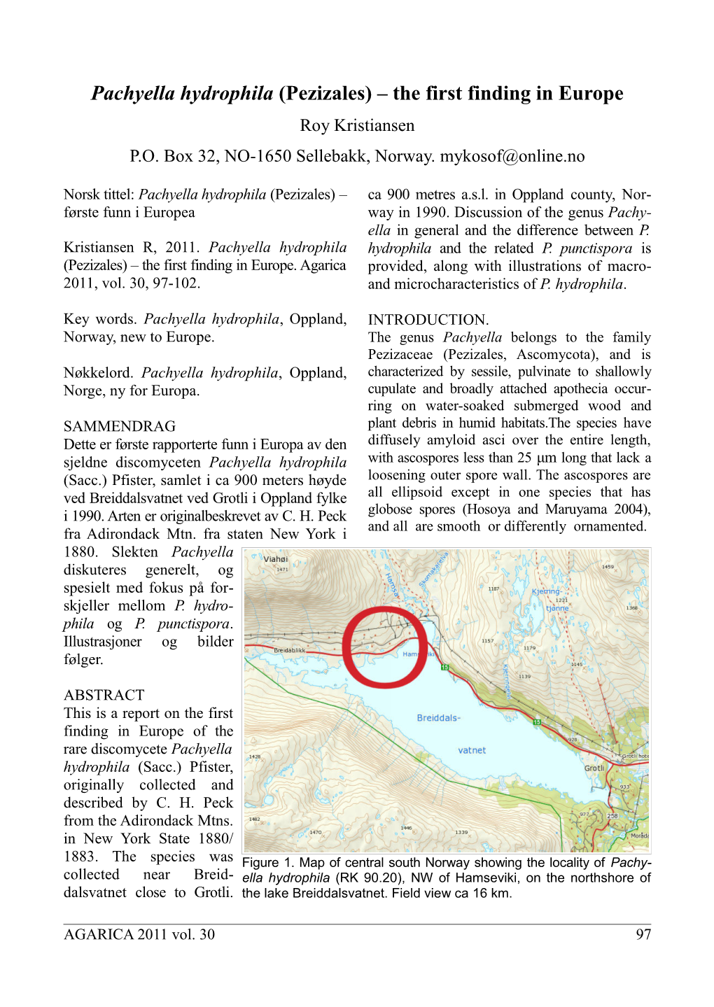 Pachyella Hydrophila (Pezizales) – the First Finding in Europe Roy Kristiansen P.O