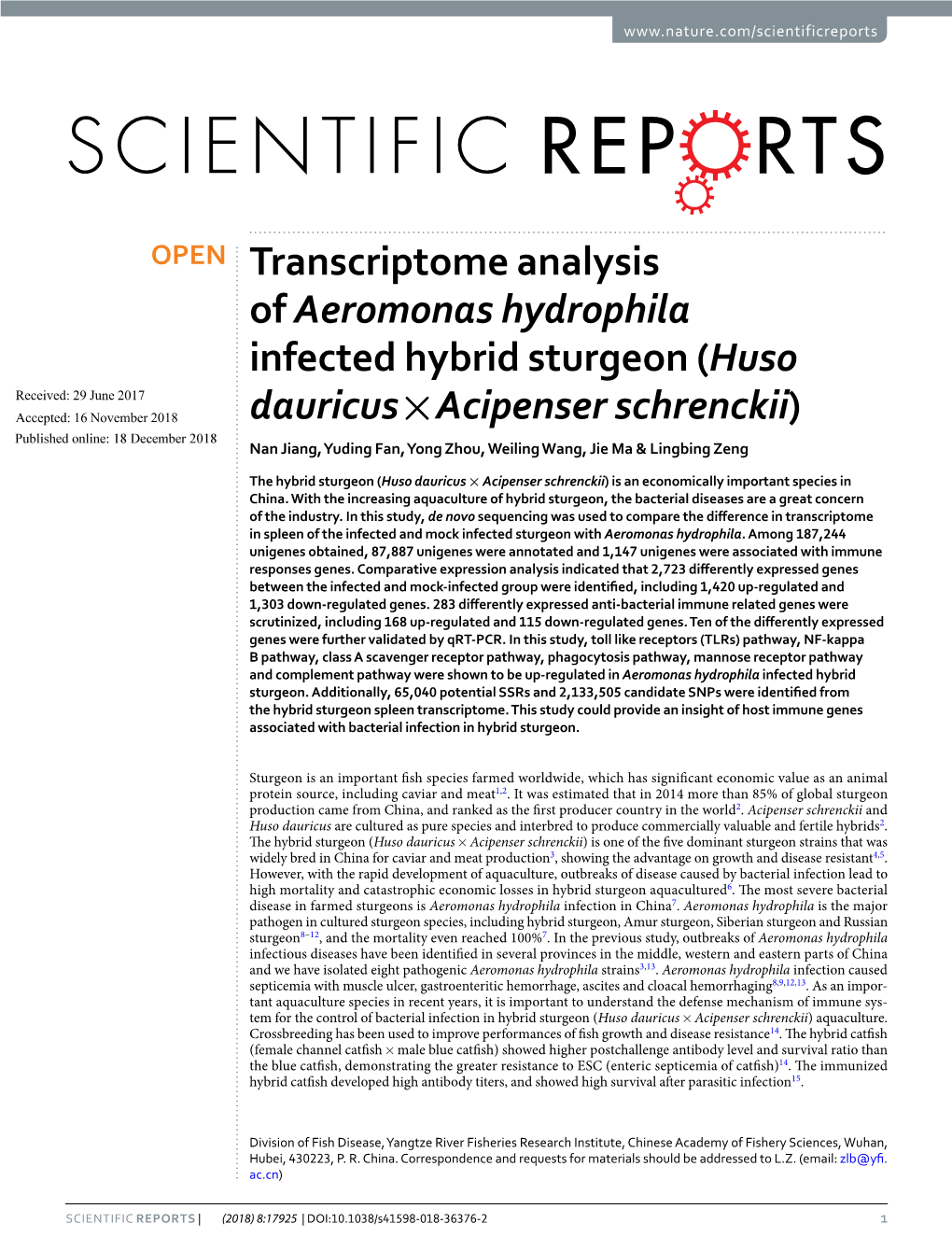 Transcriptome Analysis of Aeromonas Hydrophila Infected Hybrid Sturgeon