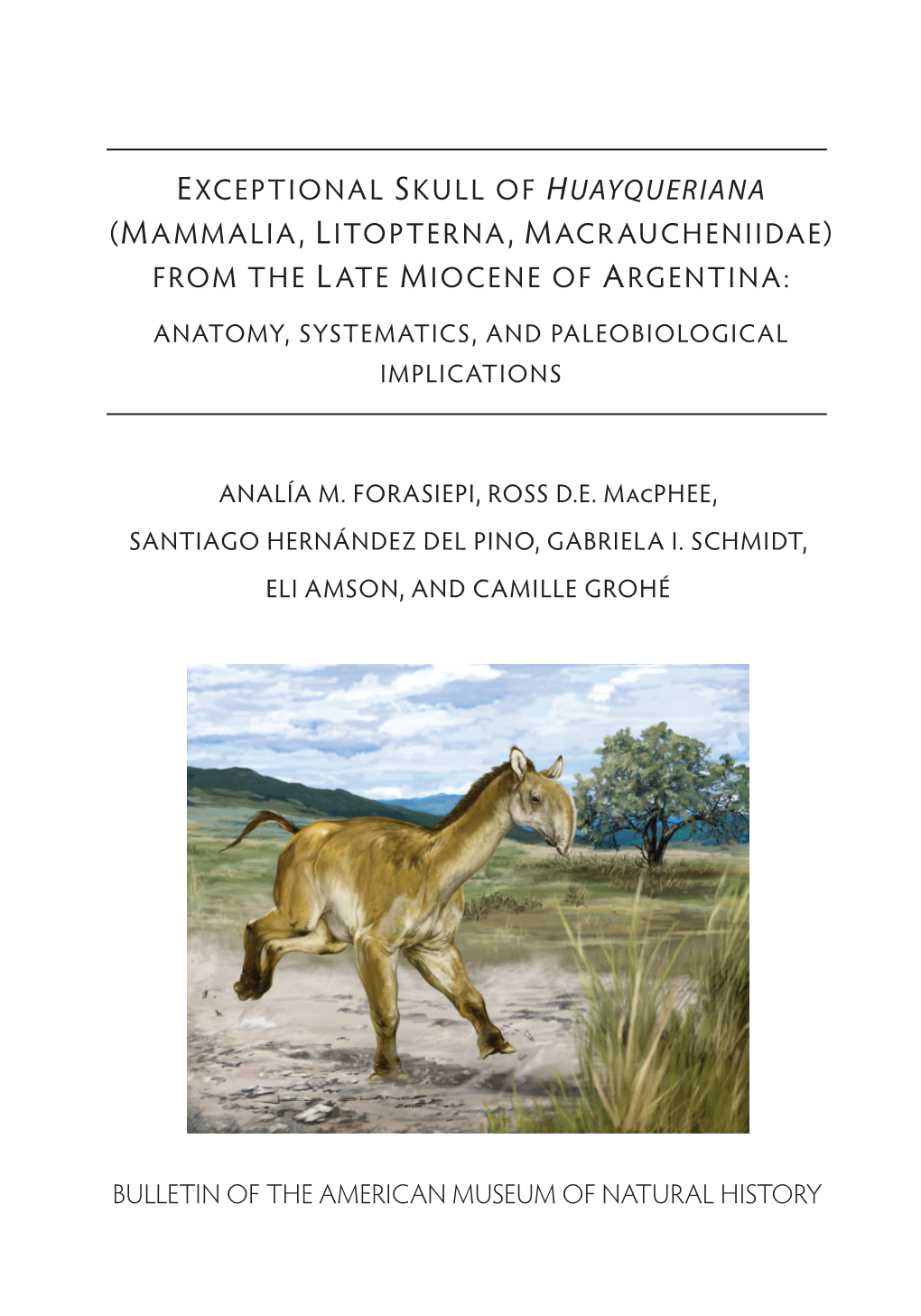 Exceptional Skull of Huayqueriana (Mammalia, Litopterna, Macraucheniidae) from the Late Miocene of Argentina: Anatomy, Systematics, and Paleobiological Implications