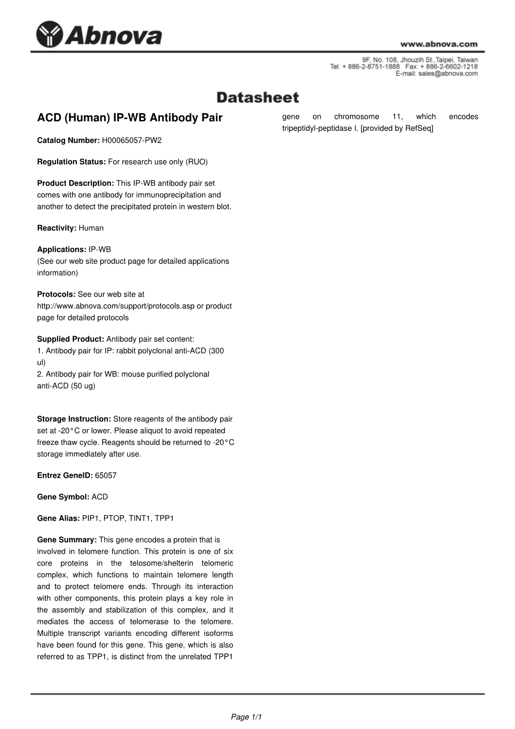 ACD (Human) IP-WB Antibody Pair Gene on Chromosome 11, Which Encodes Tripeptidyl-Peptidase I