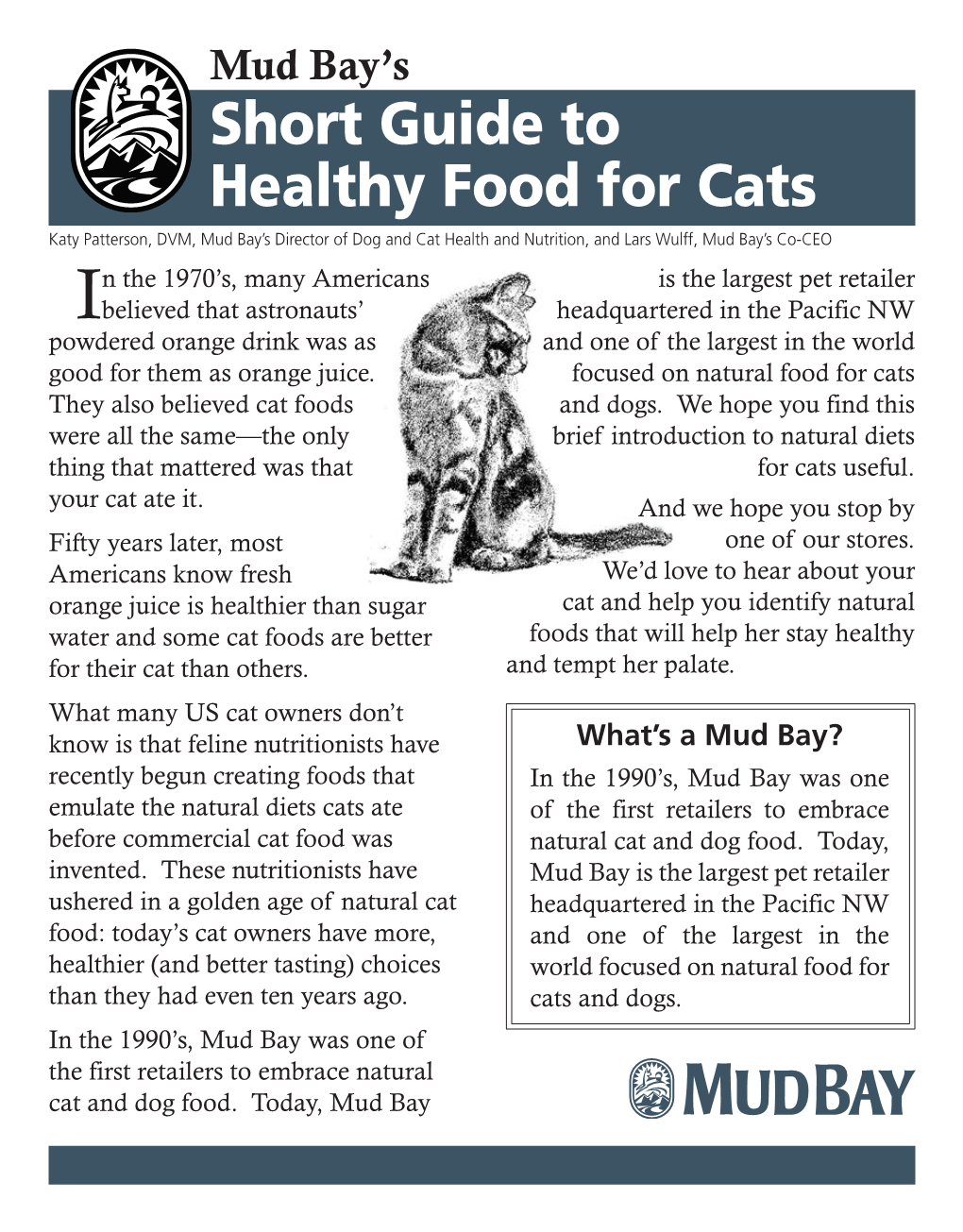 Short Guide to Healthy Food for Cats