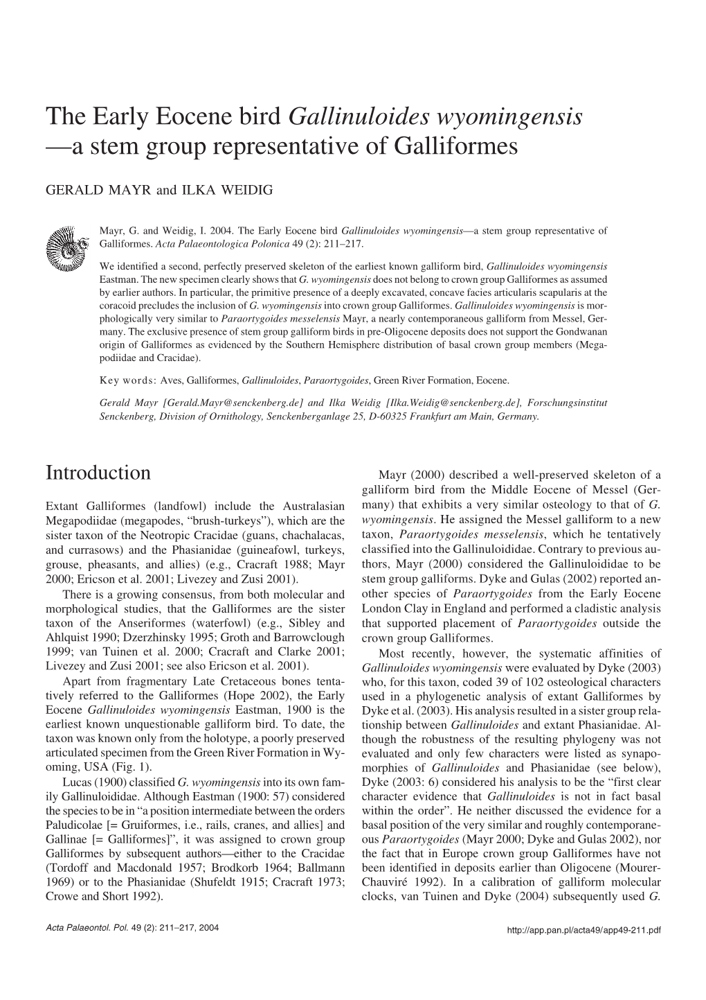 The Early Eocene Bird Gallinuloides Wyomingensis—A Stem Group Representative of Galliformes