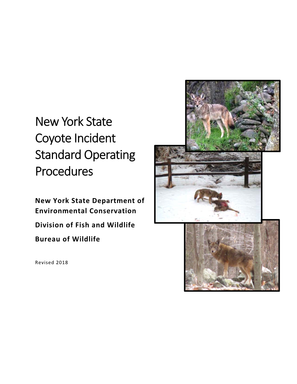 New York State Coyote Incident Standard Operating Procedures