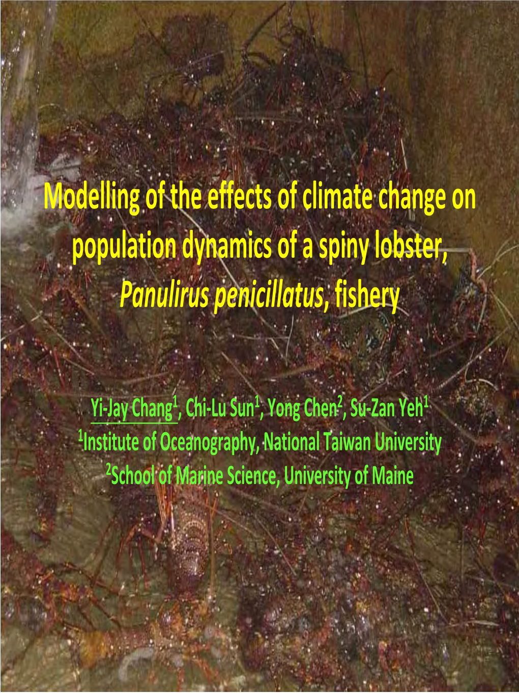 Modelling of the Effects of Climate Change on Population Dynamics of a Spiny Lobster, Panulirus Penicillatus, Fishery