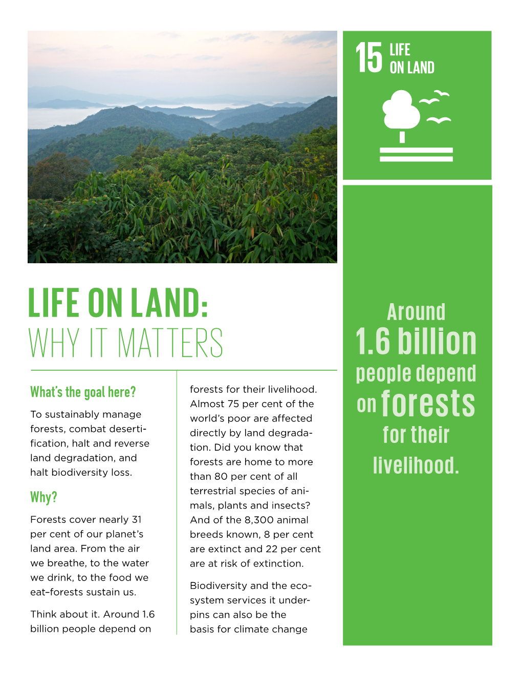 Life on Land: Why It Matters