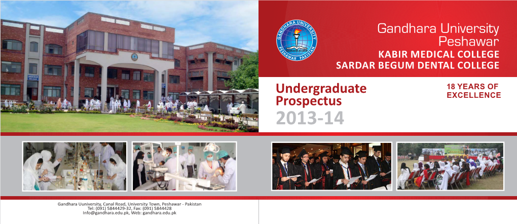 Undergraduate Prospectus