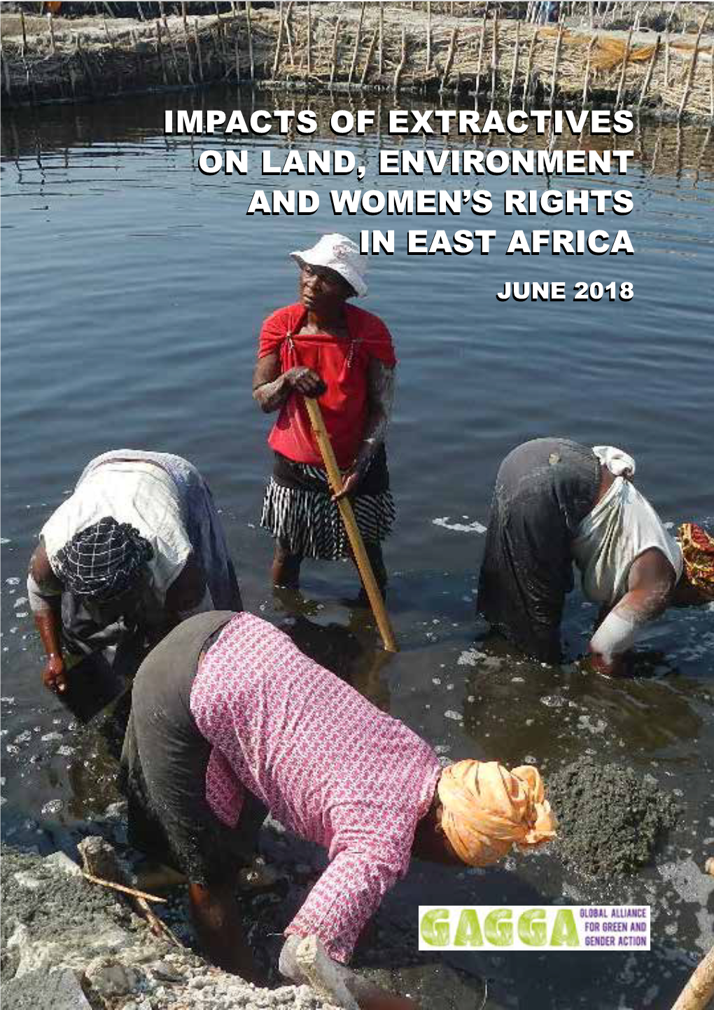 Impacts of Extractives on Land, Environment and Women's Rights