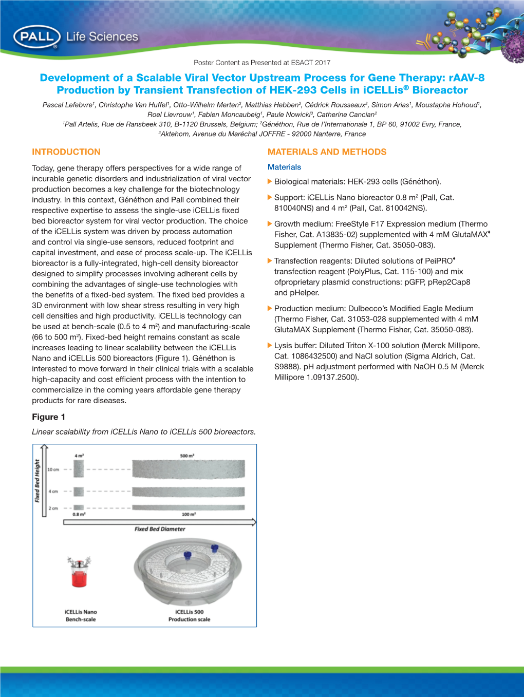 Raav-8 Production by Transient Transfection of HEK-293